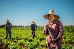 New Zealand Farm Worker Jobs 2026 – High Demand, Visa Options, and Salary Guide