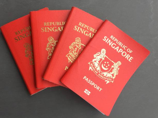 Singapore Visa Types, Categories, Costs & Easy Approval Tips in 2026
